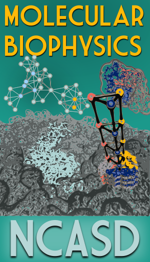 Stylized visual depicting the NCASD research focus "Molecular Biophysics".